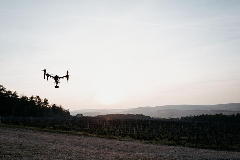 Drone flying above Les Riceys vineyard at sunset