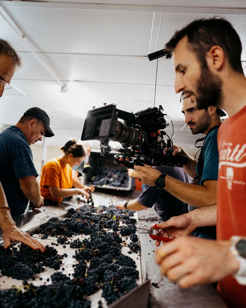 Behind the scenes TY Studio Les Riceys documentary at sorting table