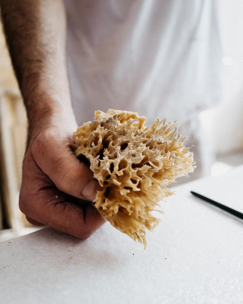 Close up of hand of painter holding sponge