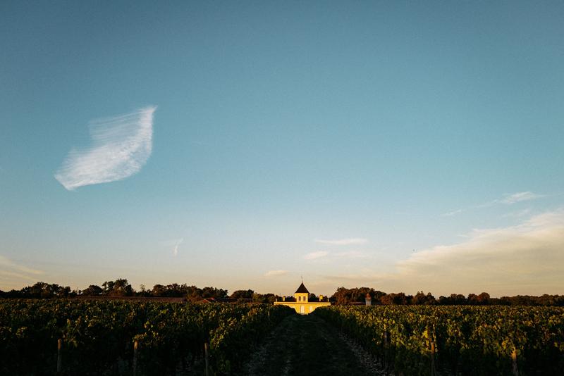 Landscape of Chateau Brane-Cantenac seen from on top of the plateau through the vines