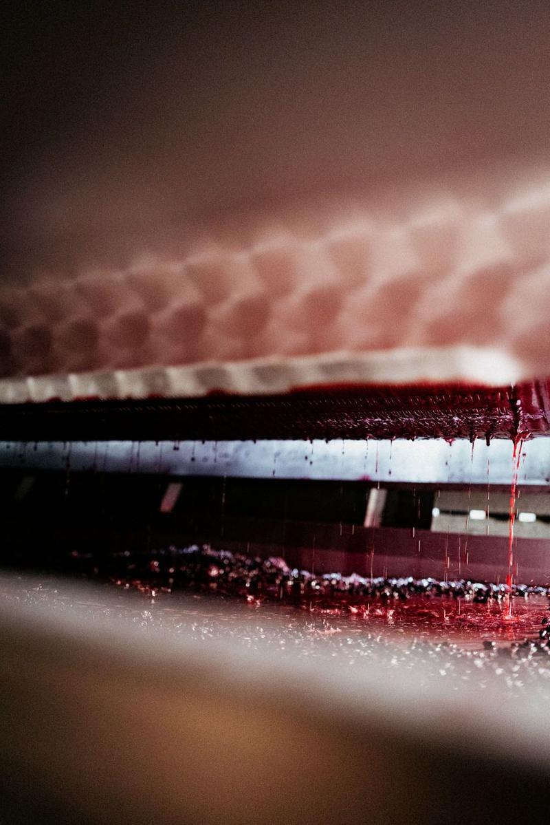 Juice flowing from wine press at Brane-Cantenac