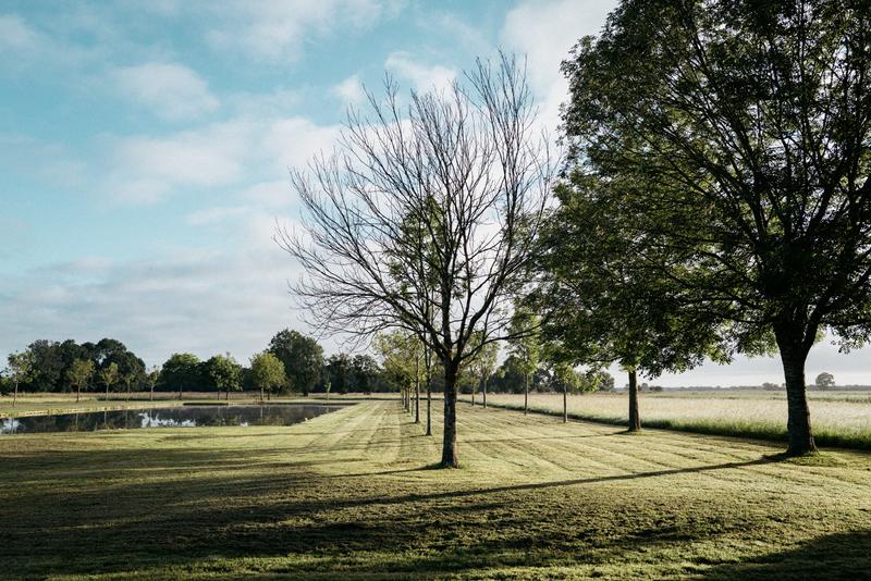 Morning light view between rows of trees in the park behind Calon Ségur