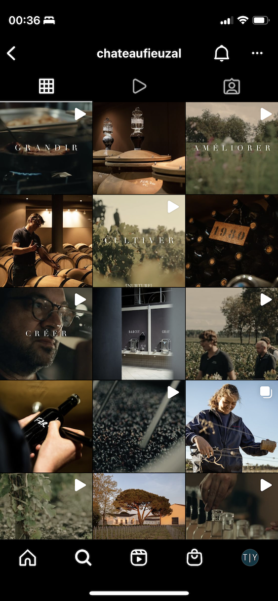 Screenshot of Chateau de Fieuzal's instagram feed