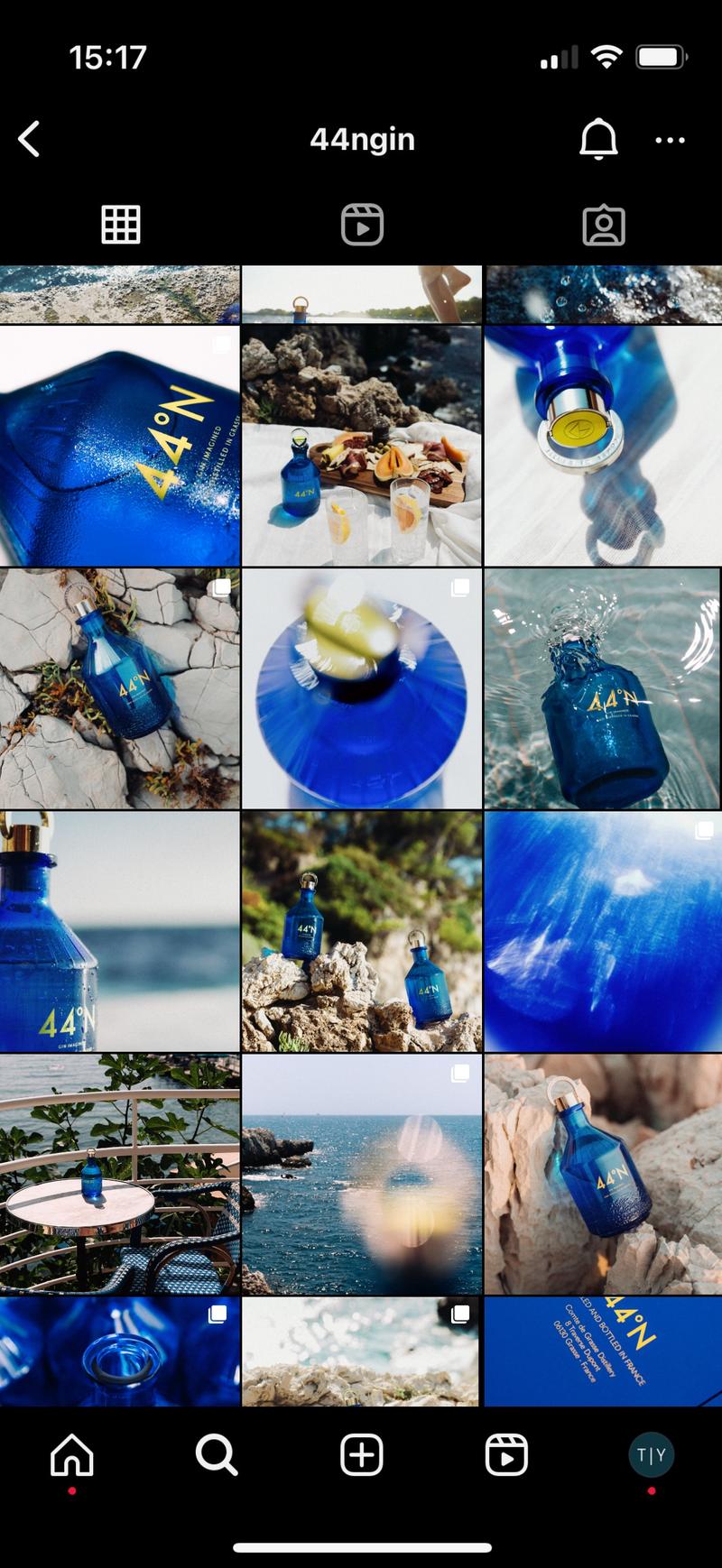 Screenshot iphone mockup showing instagram feed for Gin 44
