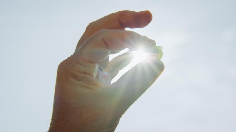 Close up of hand holding champagne grape up to the sunlight