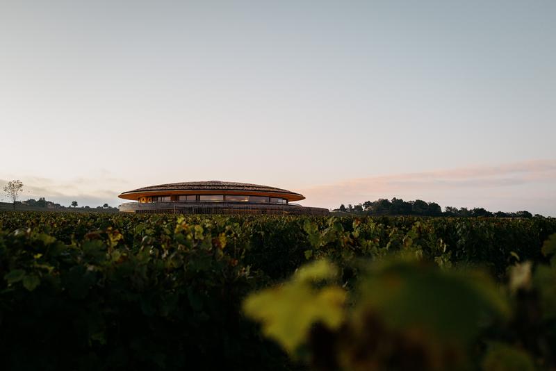 Landscape of new Le Dôme winery by Norman Foster surrounded by vines