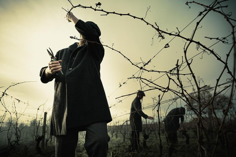 Vineyard worker in the style of Peaky Blinders pruning vines