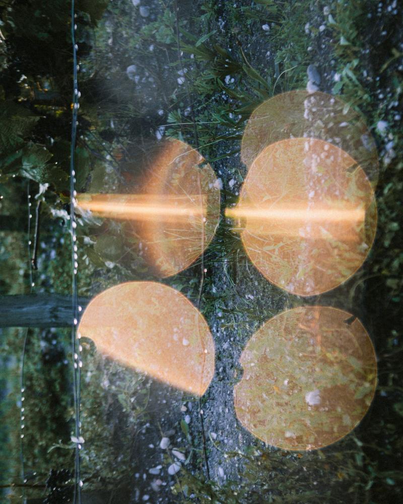 View through rows of vines with sun flare blur through droplets of dew on wires