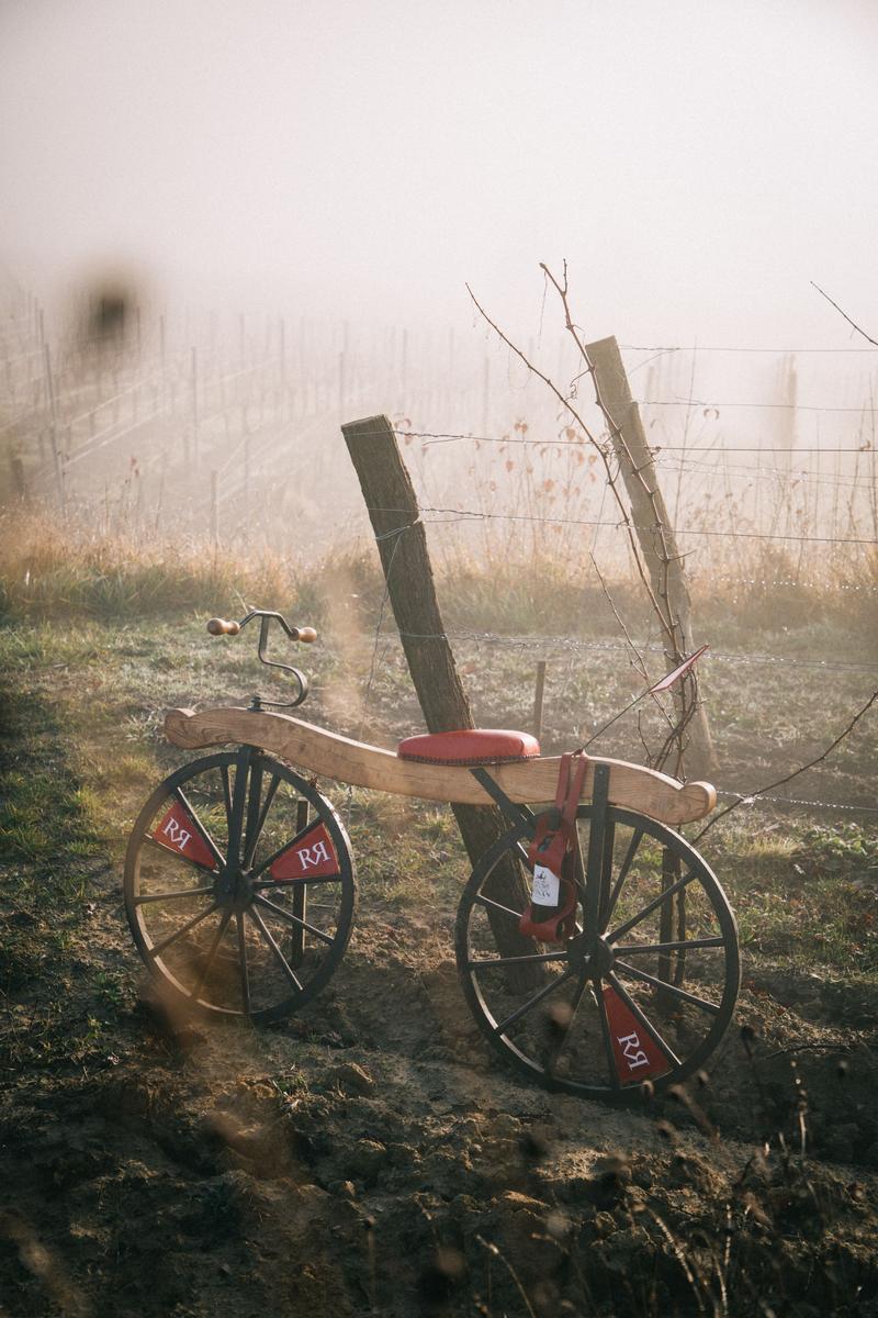 Ronan by Clinet vintage push bike seen through rows of vines in winter