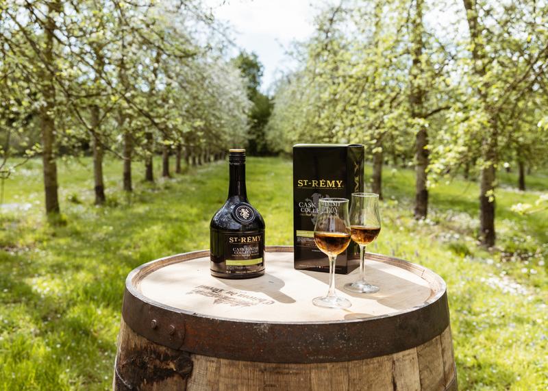 Product shot of St-Rémy Calvados Cask Collection bottle with gift box and glasses of brandy sitting on Calvados barrel amongst apple orchard