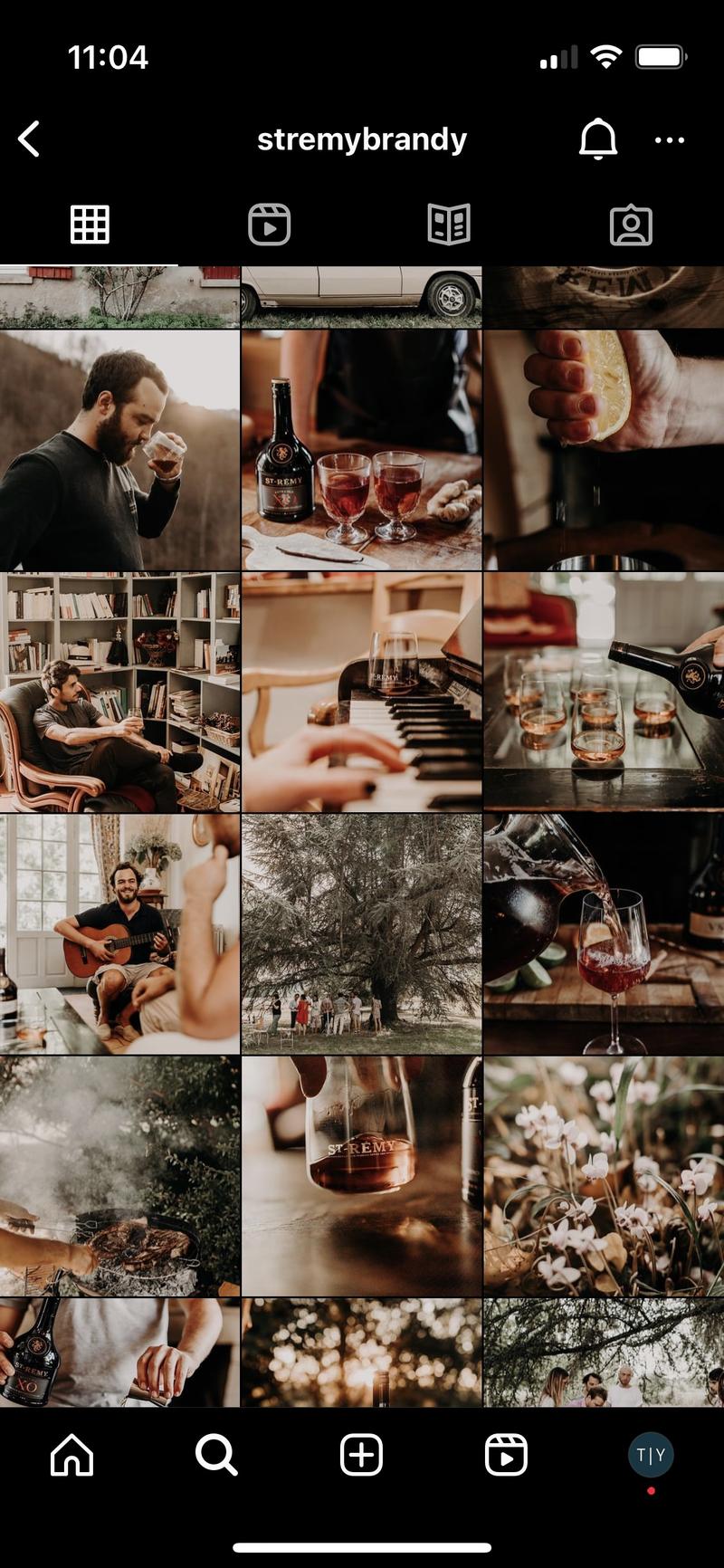 iPhone mockup of st remy instagram feed